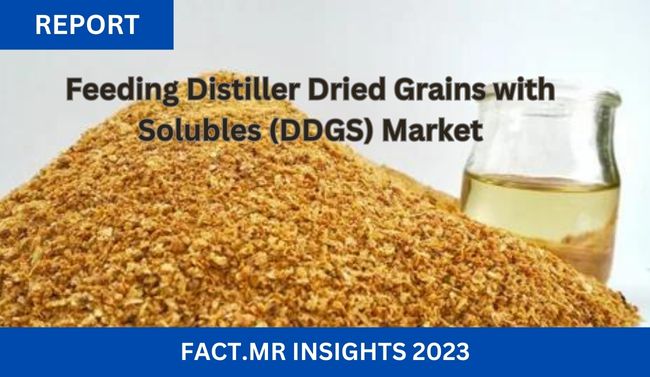 Feeding Distiller Dried Grains with Solubles (DDGS)