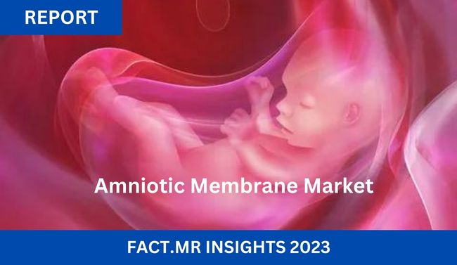 Amniotic Membrane Market